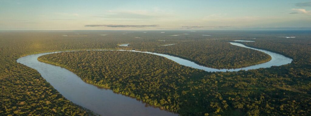 manaus-99-c